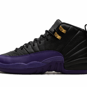 Air Jordan 12 Gs Field Purple