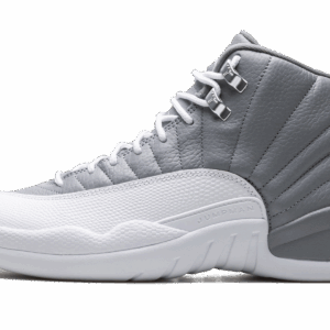 Air Jordan 12 Stealth
