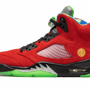 Air Jordan 5 Retro What The