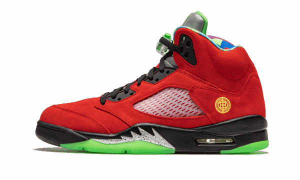 Air Jordan 5 Retro What The