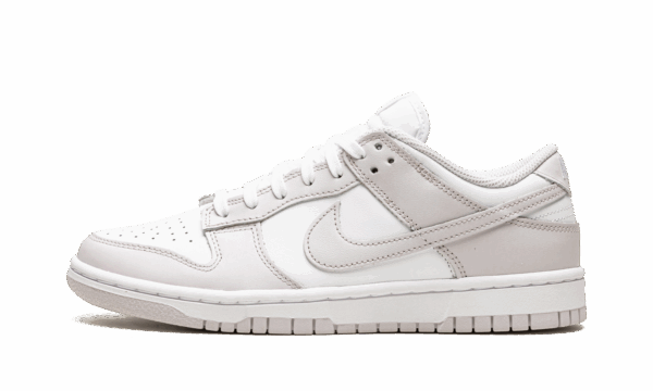 Dunk Lo Mns Wmns Venice