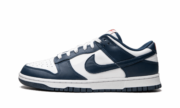 Dunk Low Retro Usa